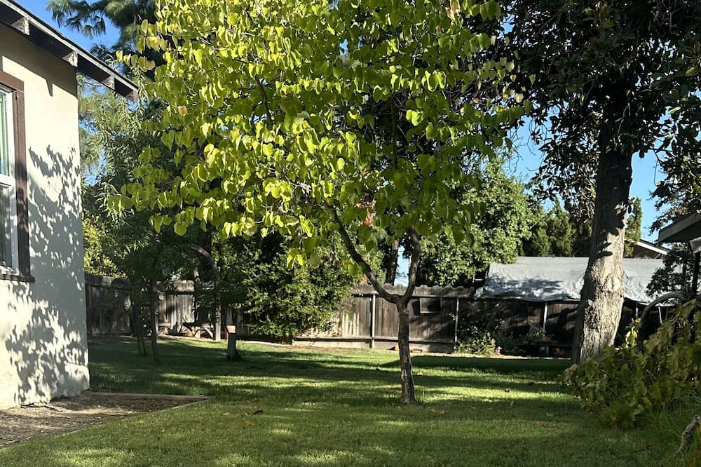 Photo of Outdoor in Raisin