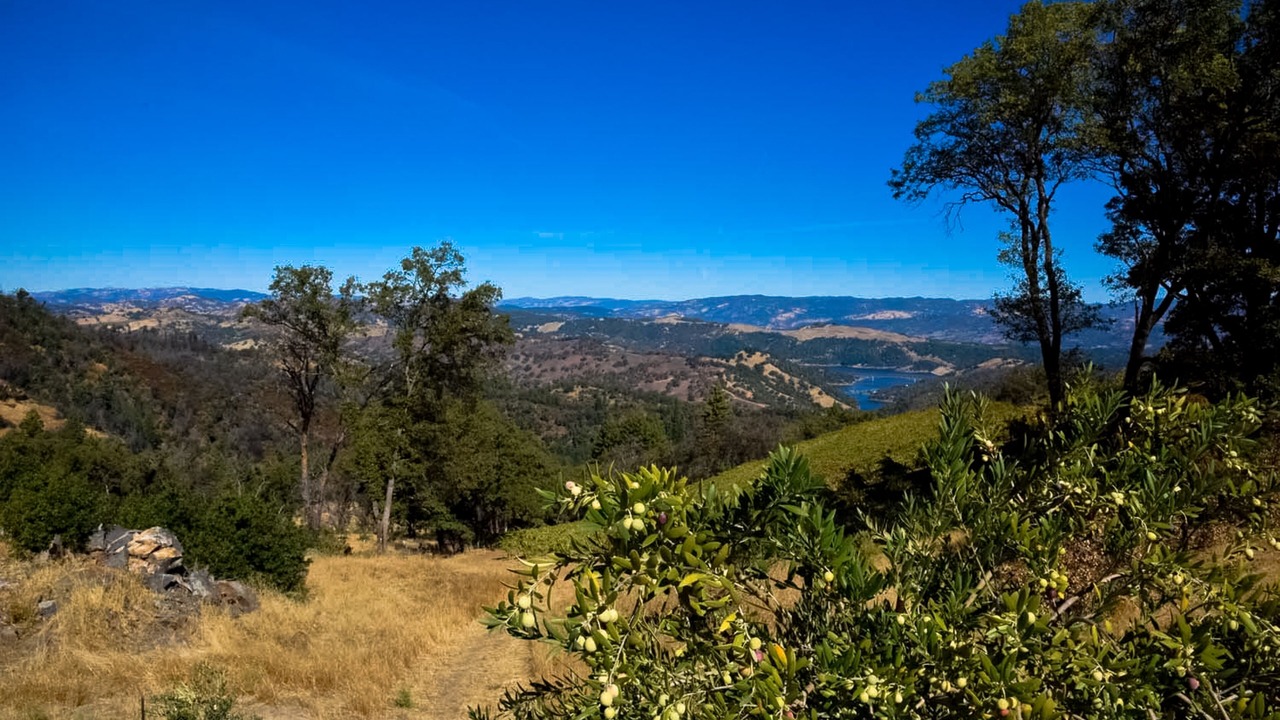 Photo of Others in Cazadero