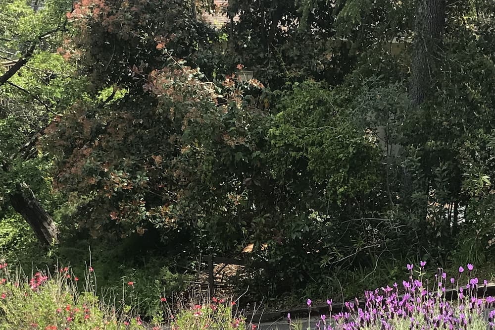 Photo of Outdoor in Claremont