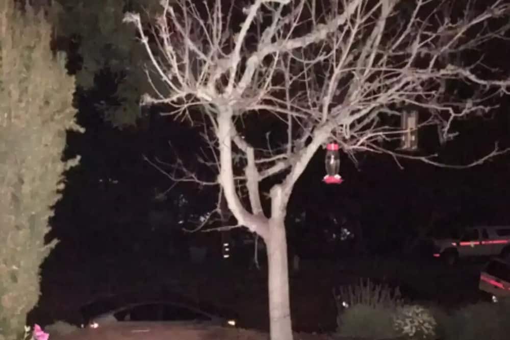 Photo of Outdoor in Del Rey Oaks