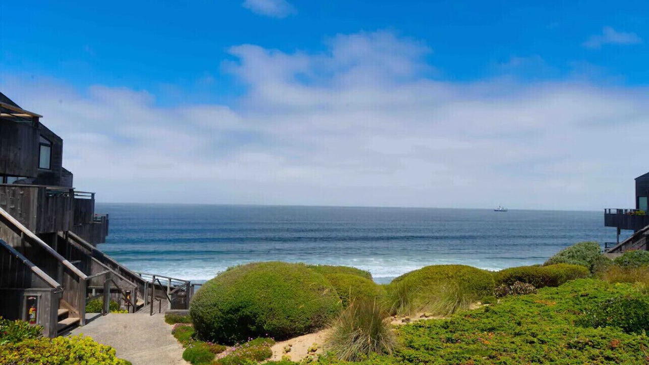 Photo of Others in Monterey