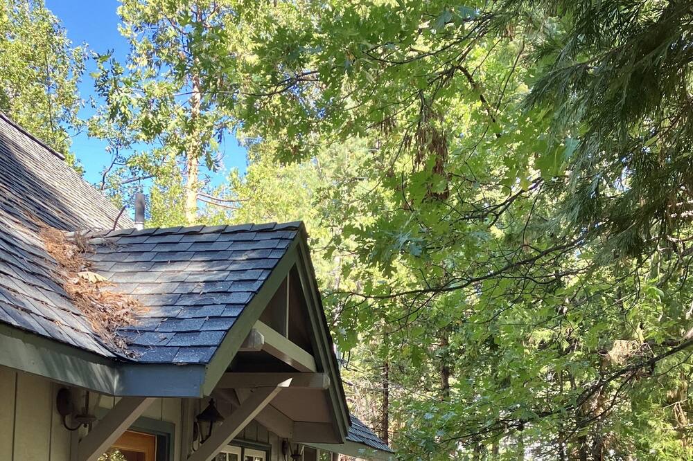 Photo of Outdoor in Twain Harte