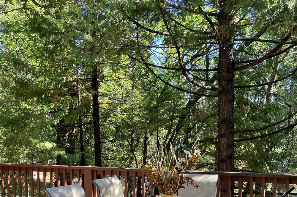 Photo of Outdoor in Twain Harte