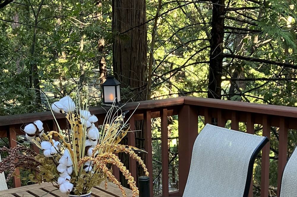 Photo of Outdoor in Twain Harte