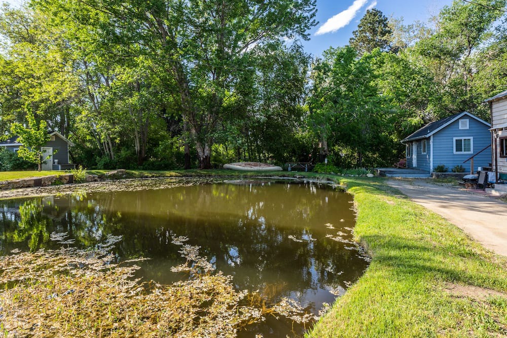 Photo of Outdoor in West Bishop