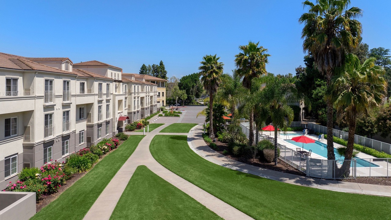 Photo of Outdoor in North Los Altos