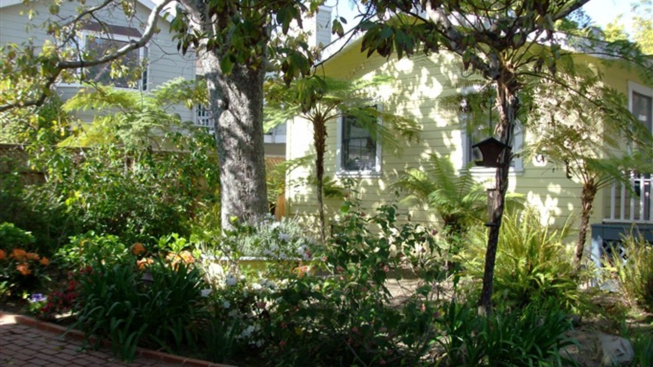 Photo of Outdoor in Oak Park