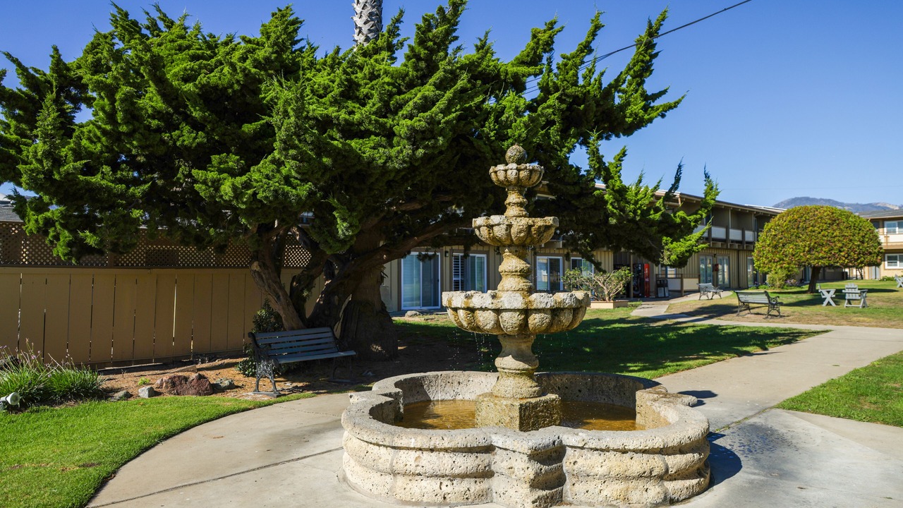 Photo of Others in San Simeon