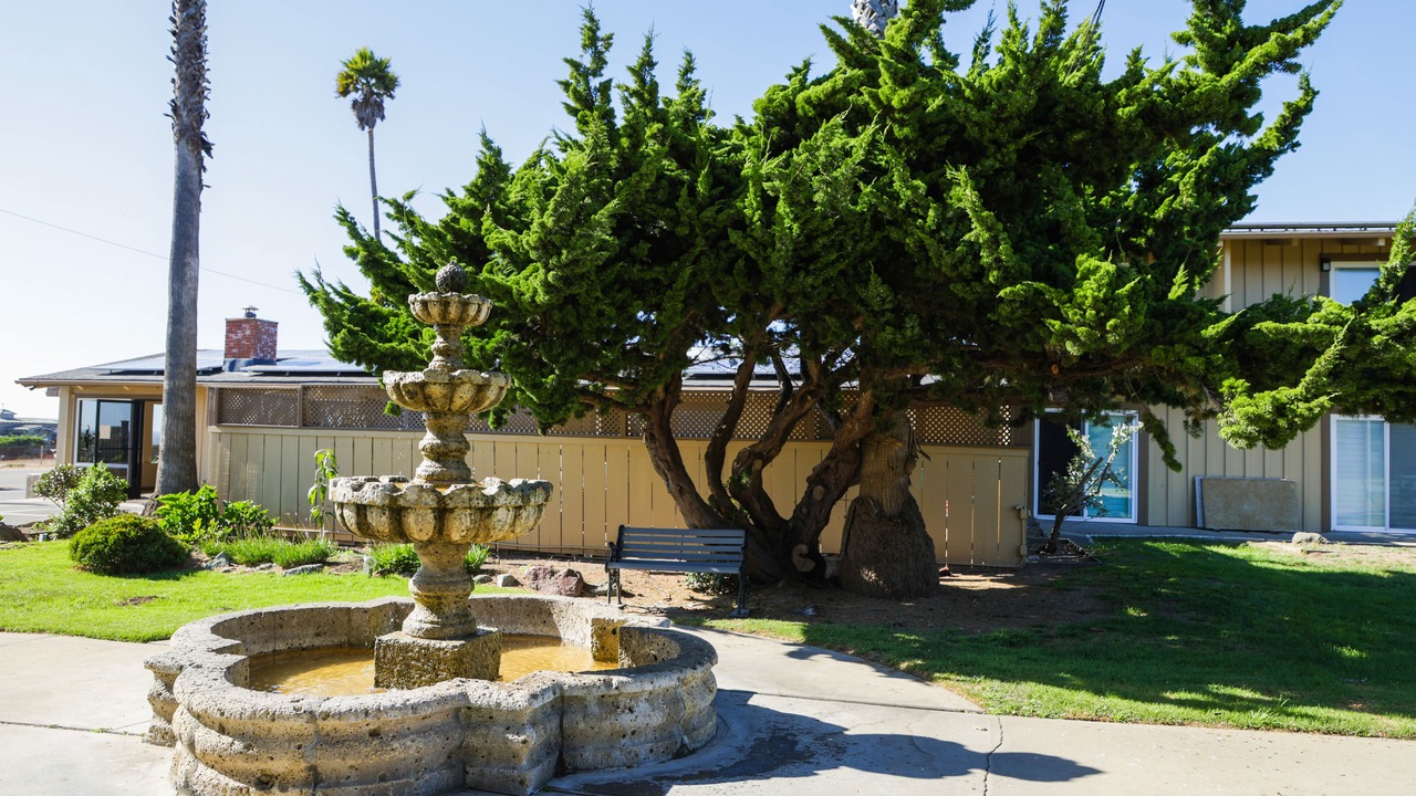 Photo of Others in San Simeon