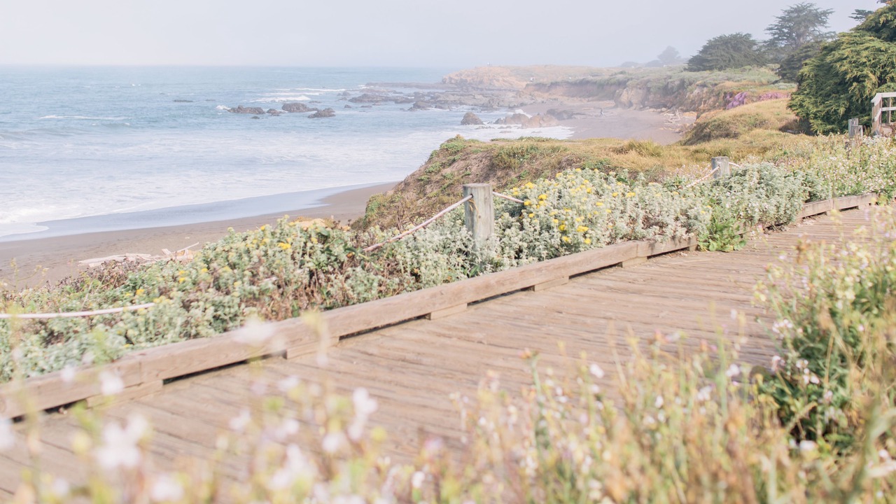Photo of Others in San Simeon