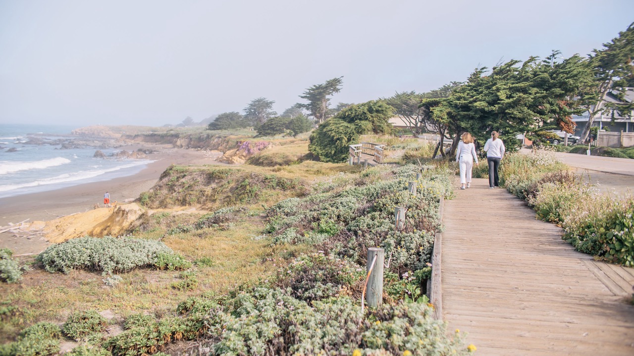 Photo of Others in San Simeon