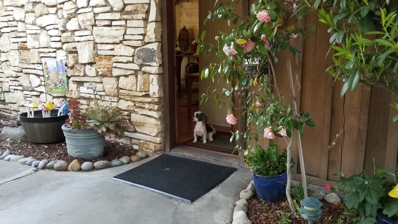 Photo of Others in Carmel Valley