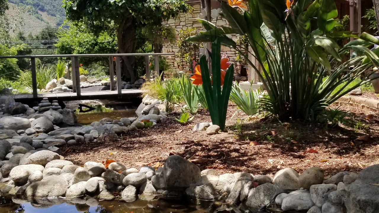 Photo of Outdoor in Carmel Valley