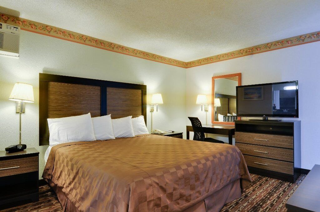 Photo of Bedroom in Snail