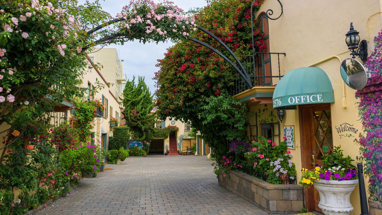 Photo of Outdoor in Marina District