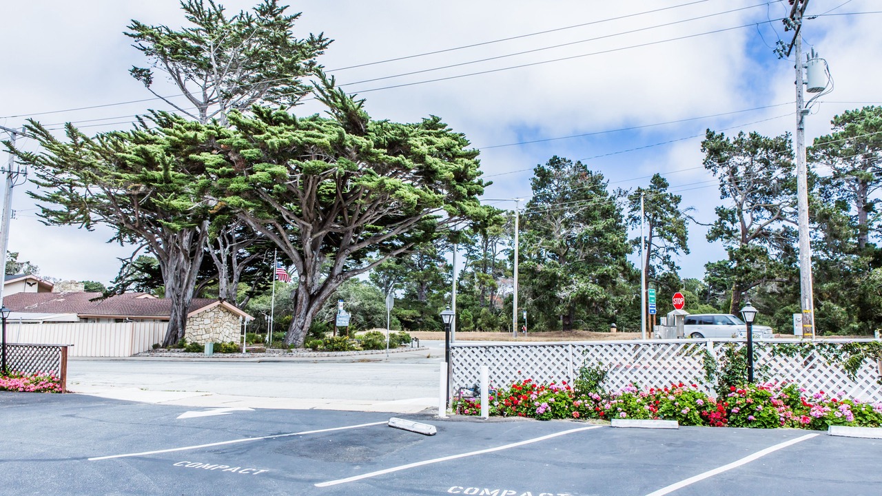 Photo of Others in Munras Avenue