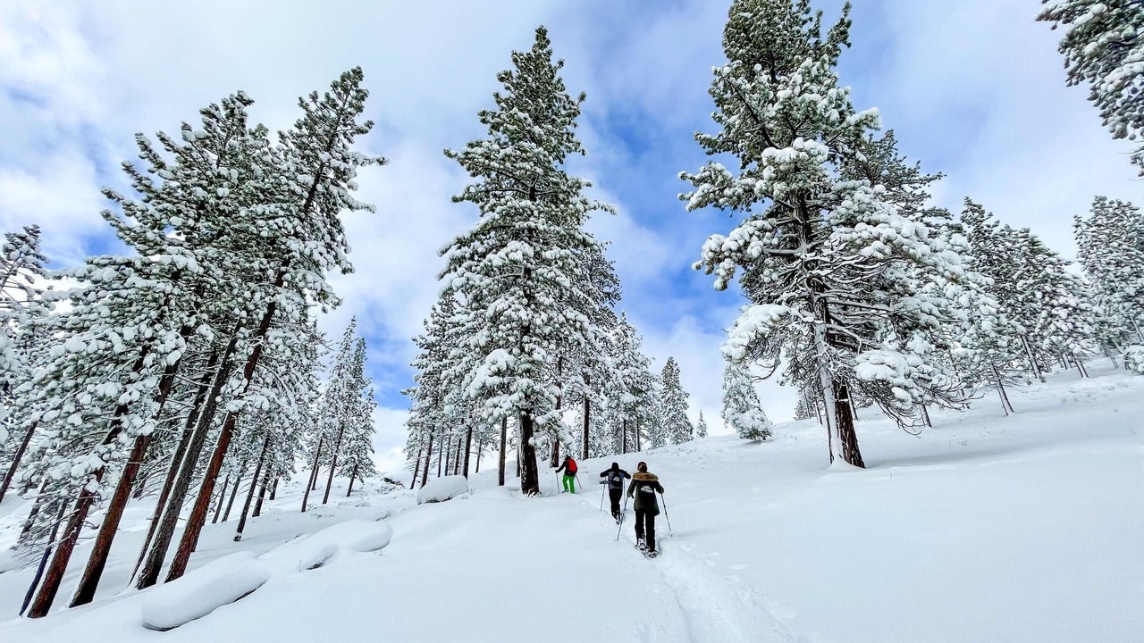 Photo of Outdoor in Incline Village