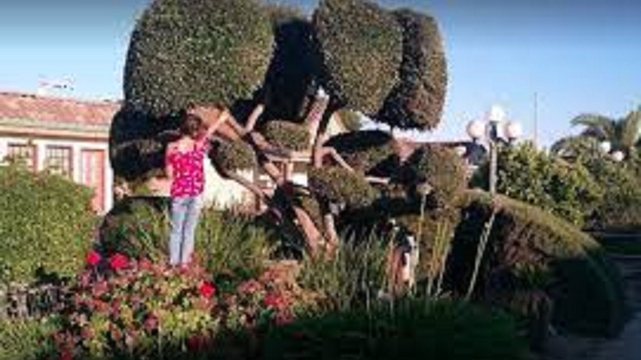 Photo of Others in Merced
