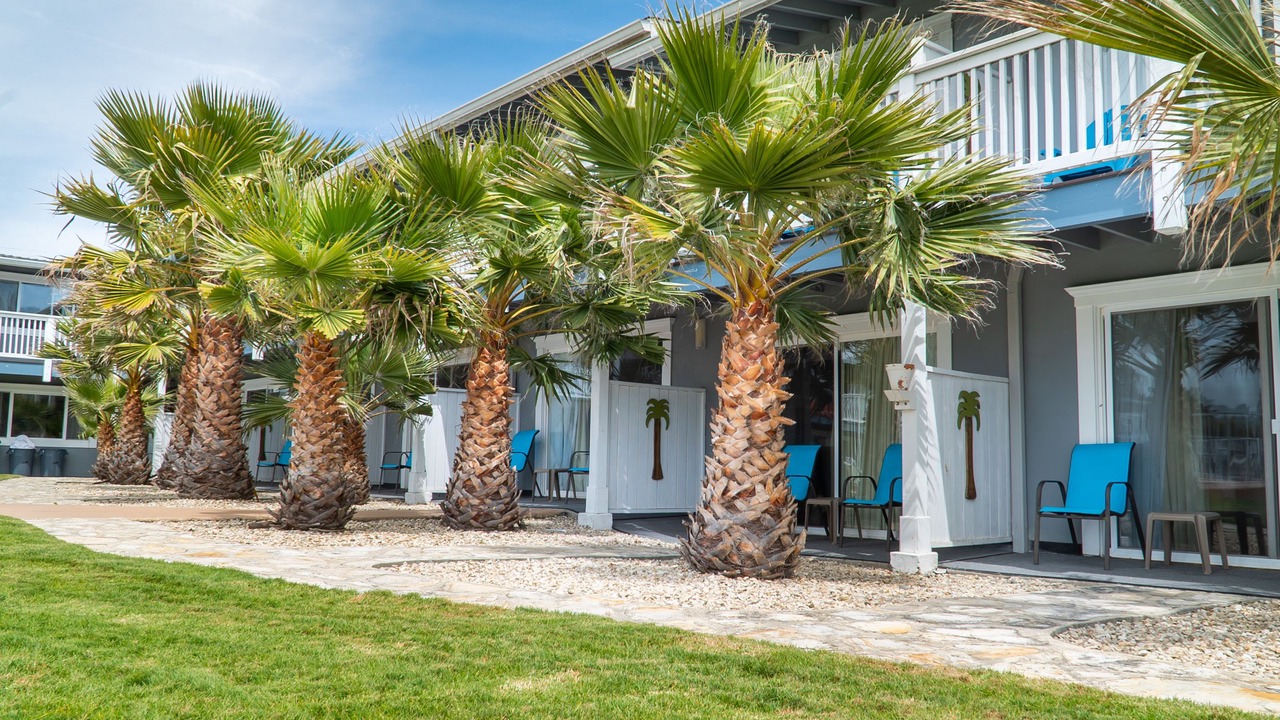 Photo of Outdoor in San Simeon