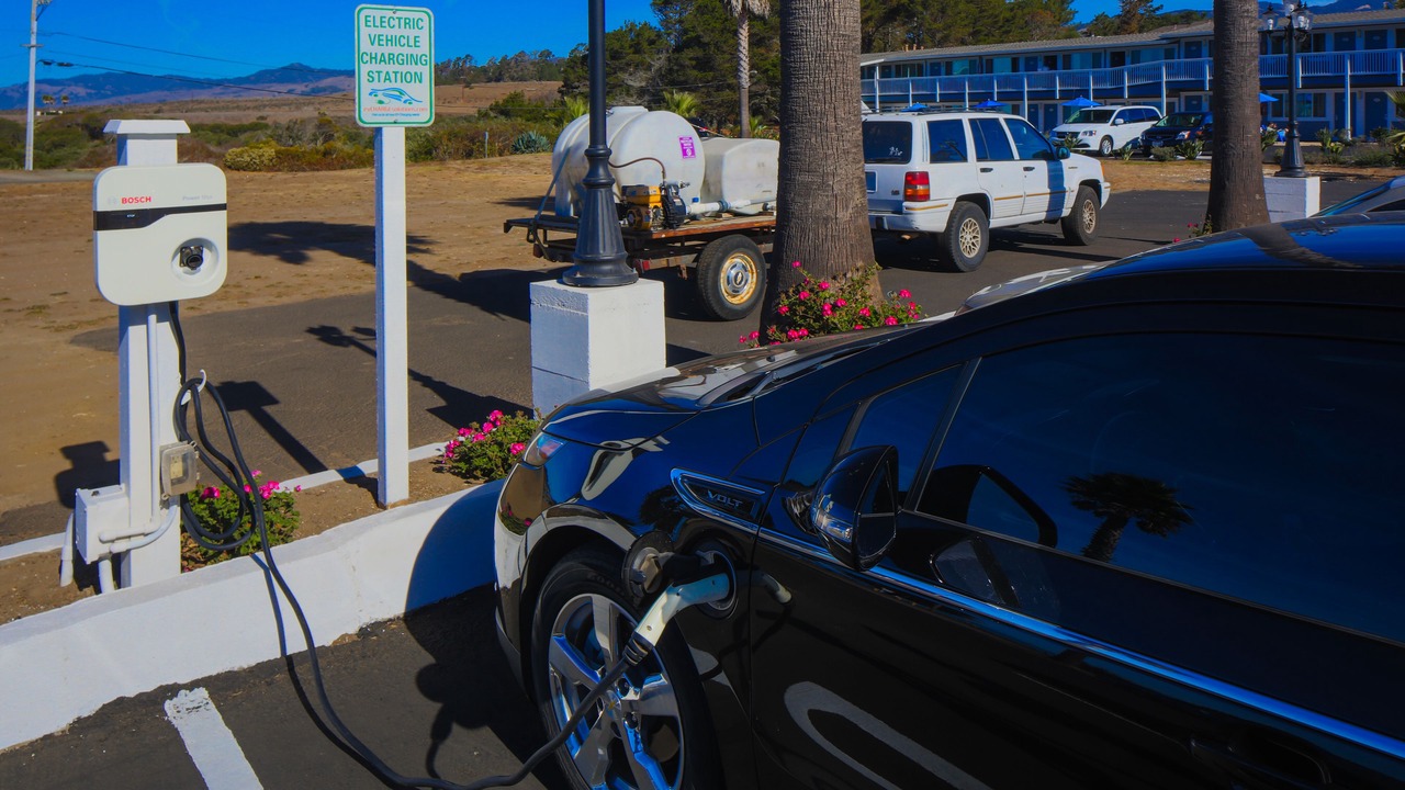 Photo of Others in San Simeon