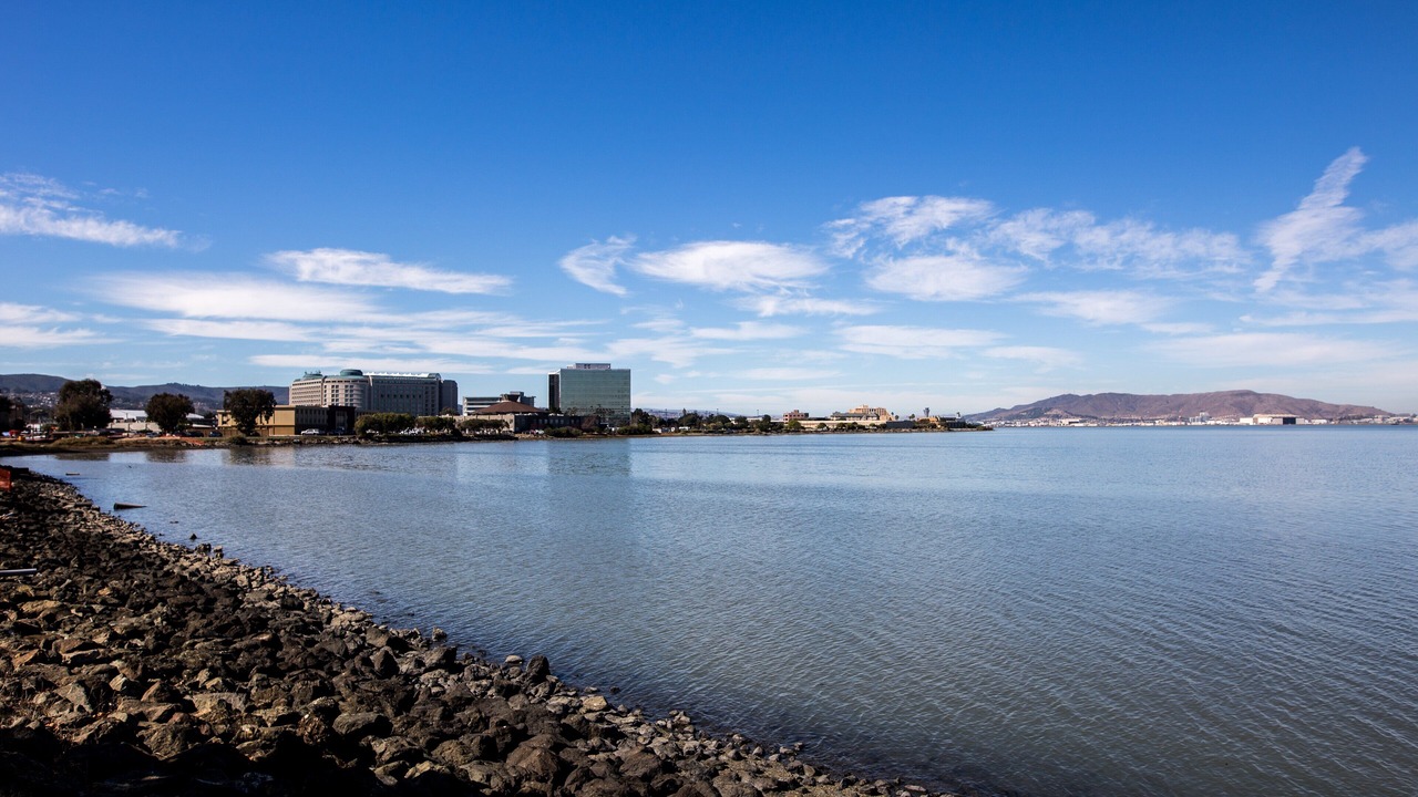 Photo of Others in Burlingame