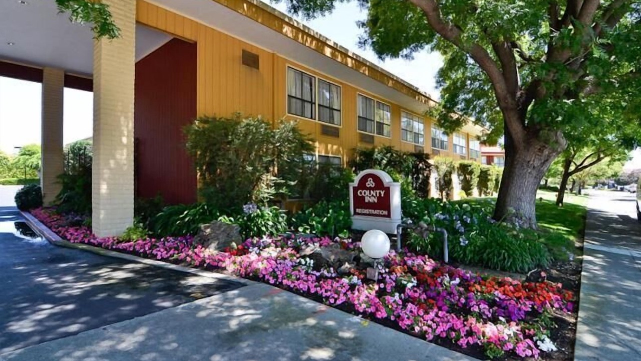 Photo of Outdoor in North Whisman