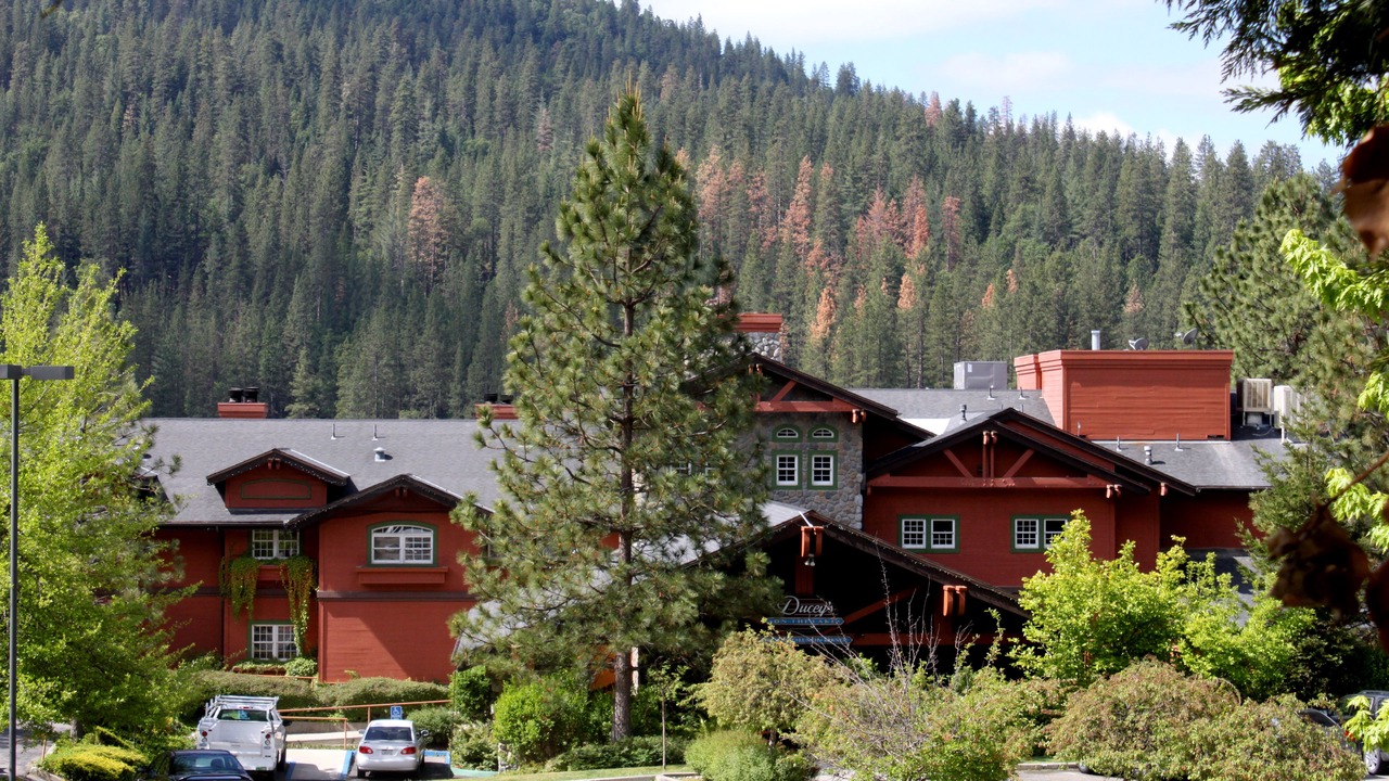 Photo of Outdoor in Bass Lake