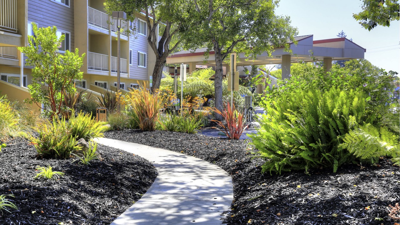 Photo of Outdoor in Fremont