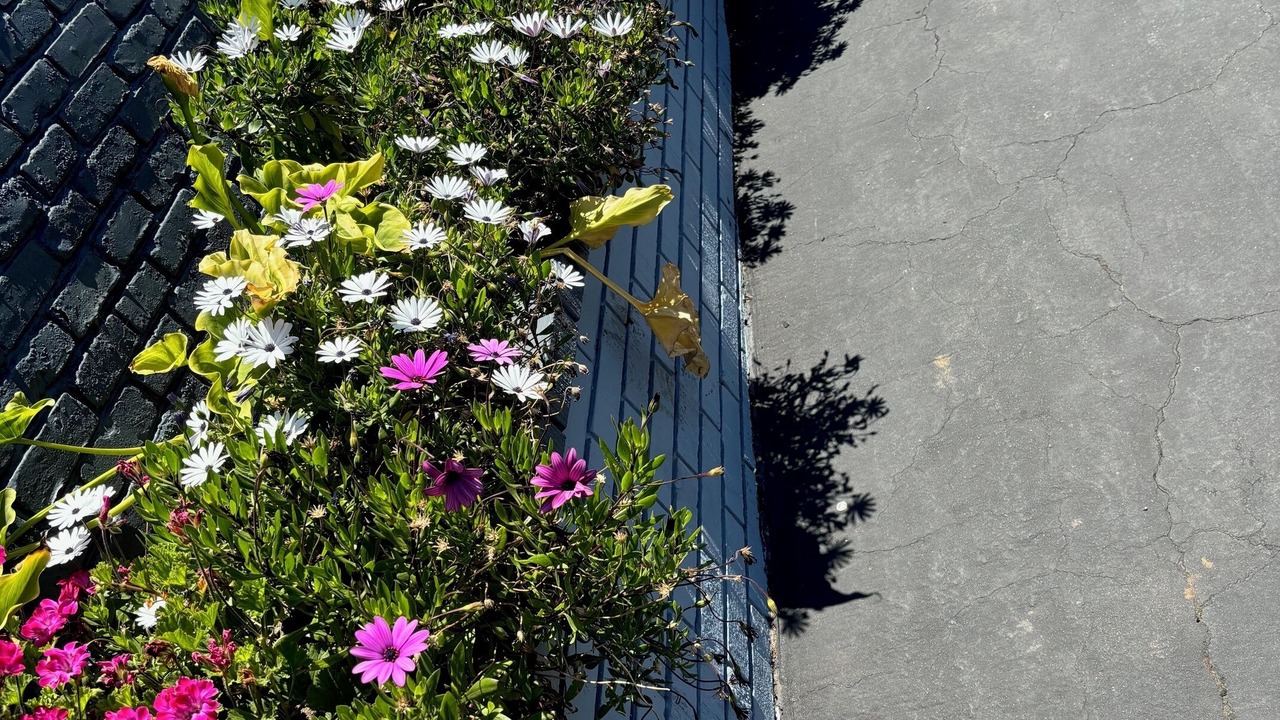 Photo of Outdoor in North Fremont Street