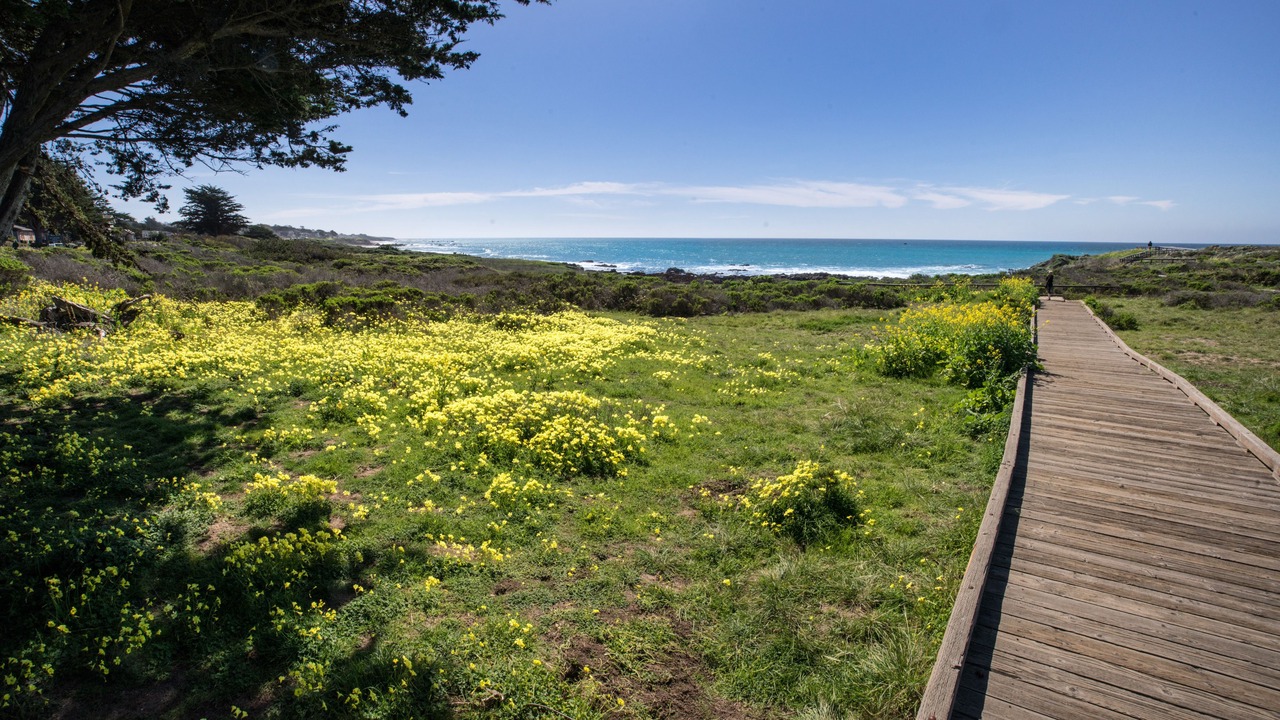 Photo of Others in San Simeon