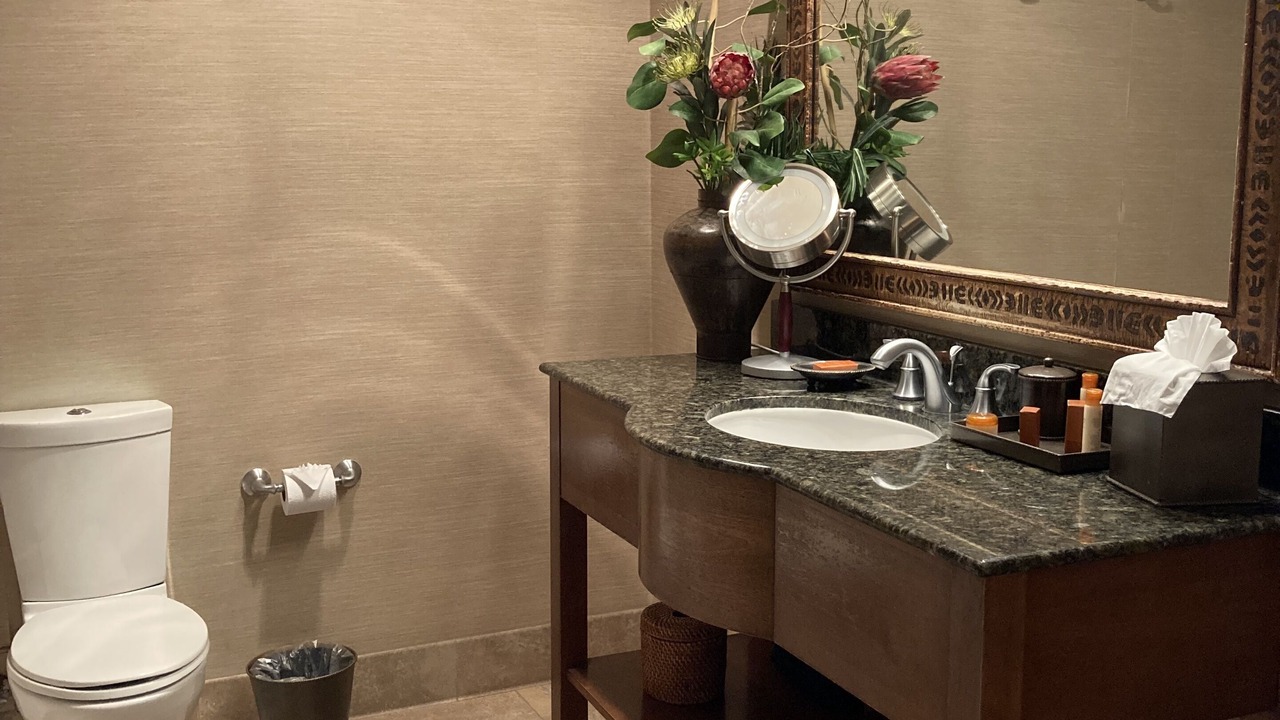 Photo of Bathroom in San Simeon
