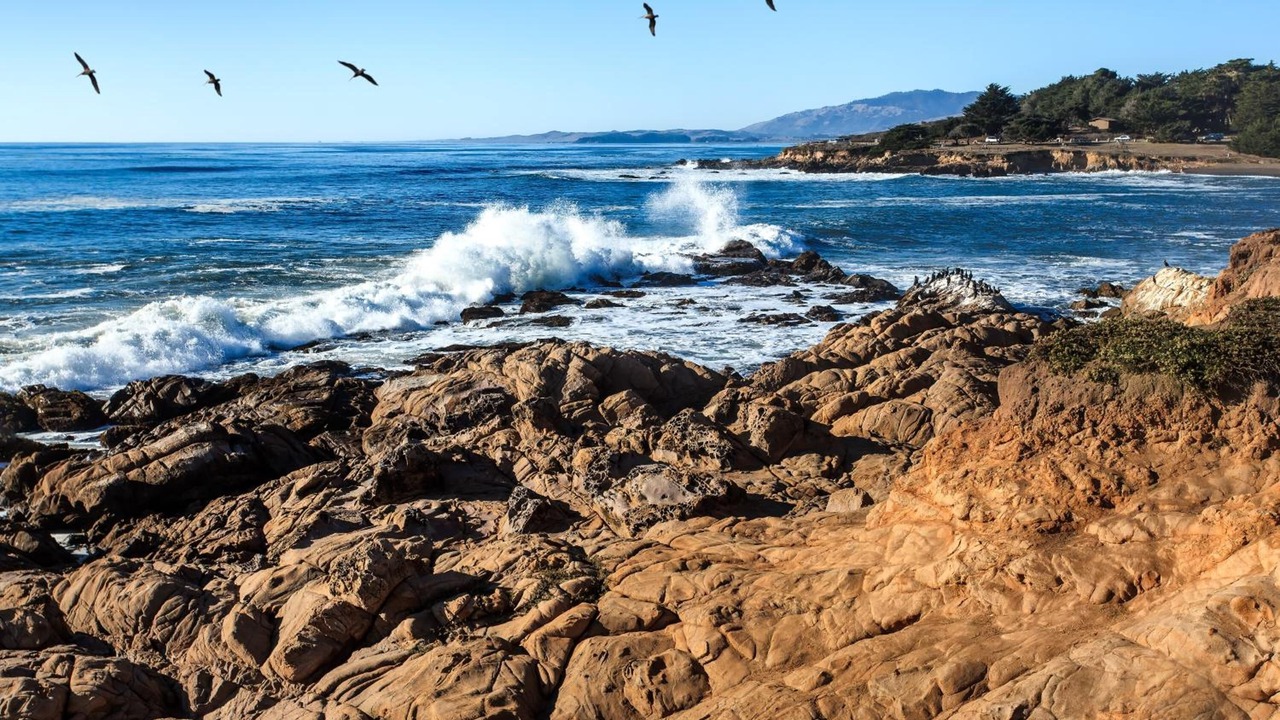 Photo of Others in San Simeon