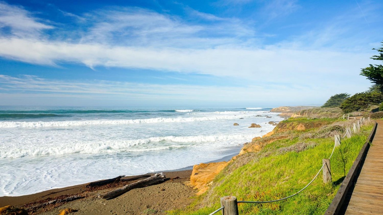 Photo of Others in San Simeon