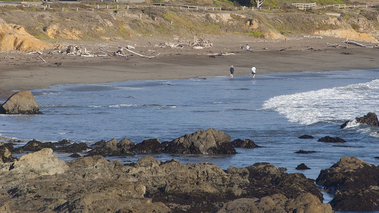 Photo of Others in San Simeon
