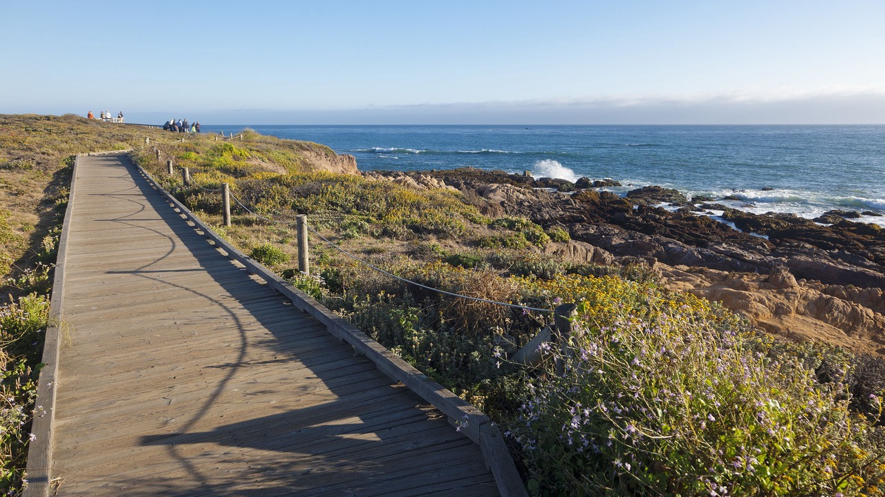 Photo of Others in San Simeon