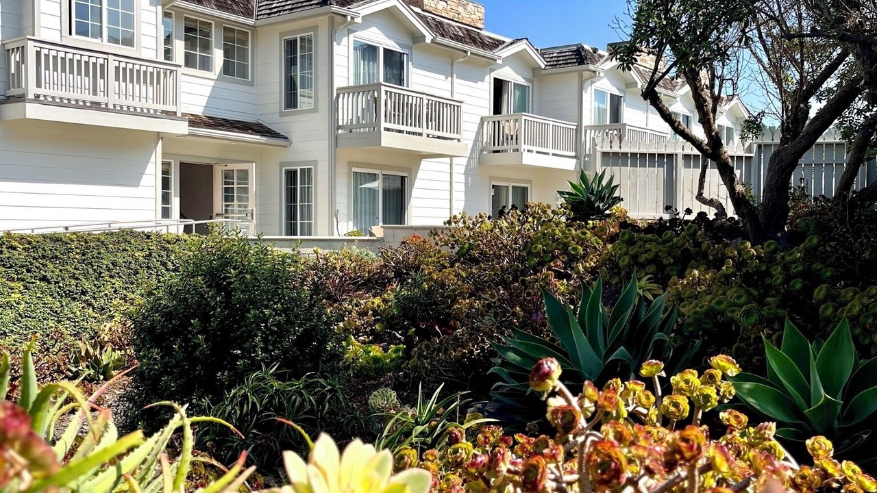 Photo of Outdoor in San Simeon
