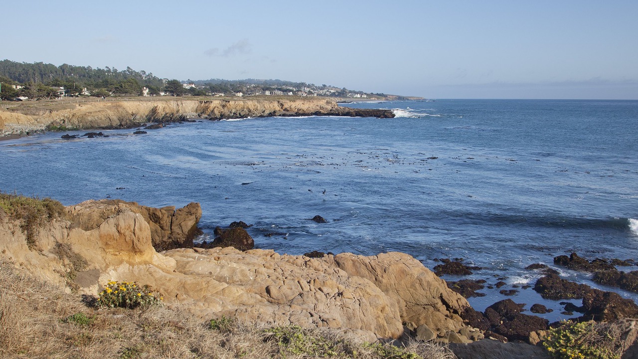 Photo of Others in San Simeon