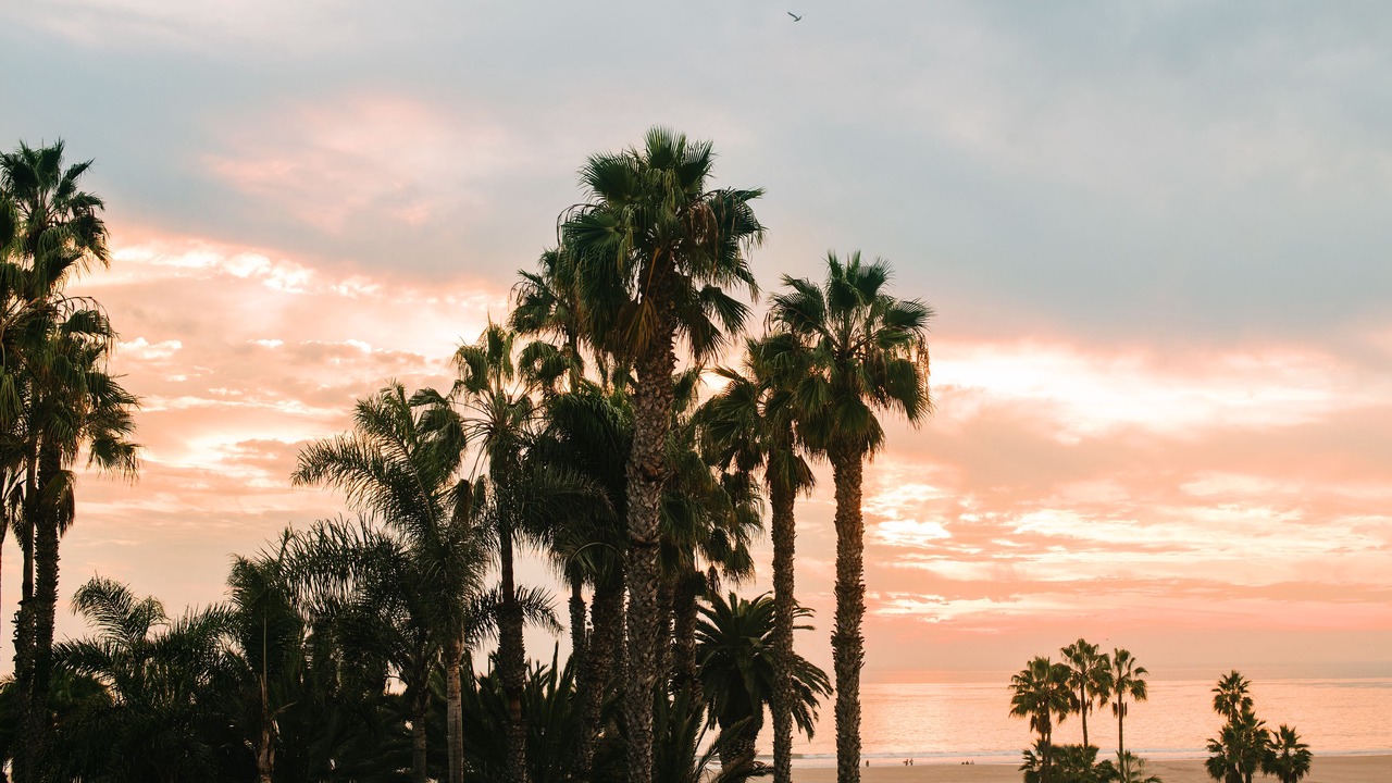Photo of Outdoor in Ocean Park
