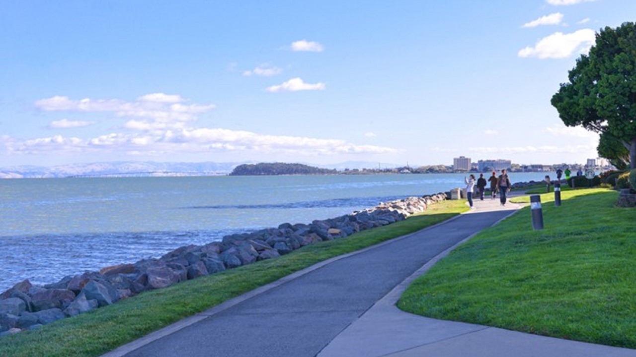 Photo of Others in Burlingame