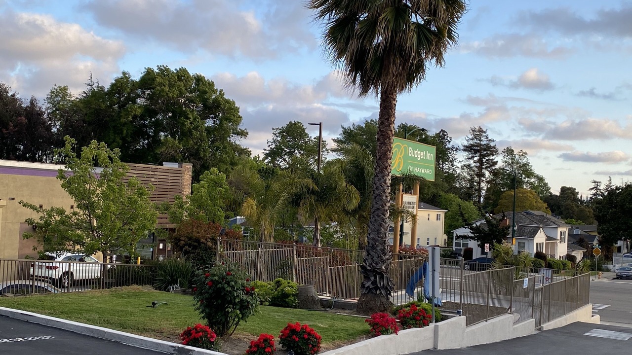 Photo of Others in Hayward