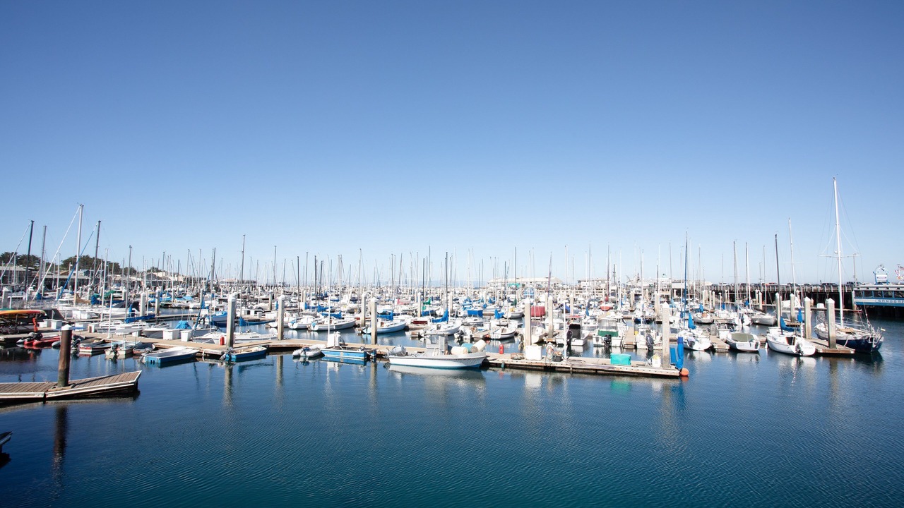 Photo of Others in Lighthouse District