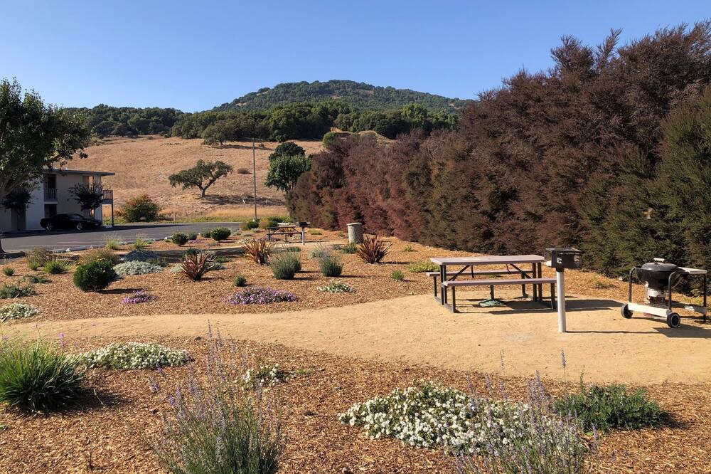 Photo of Outdoor in Novato