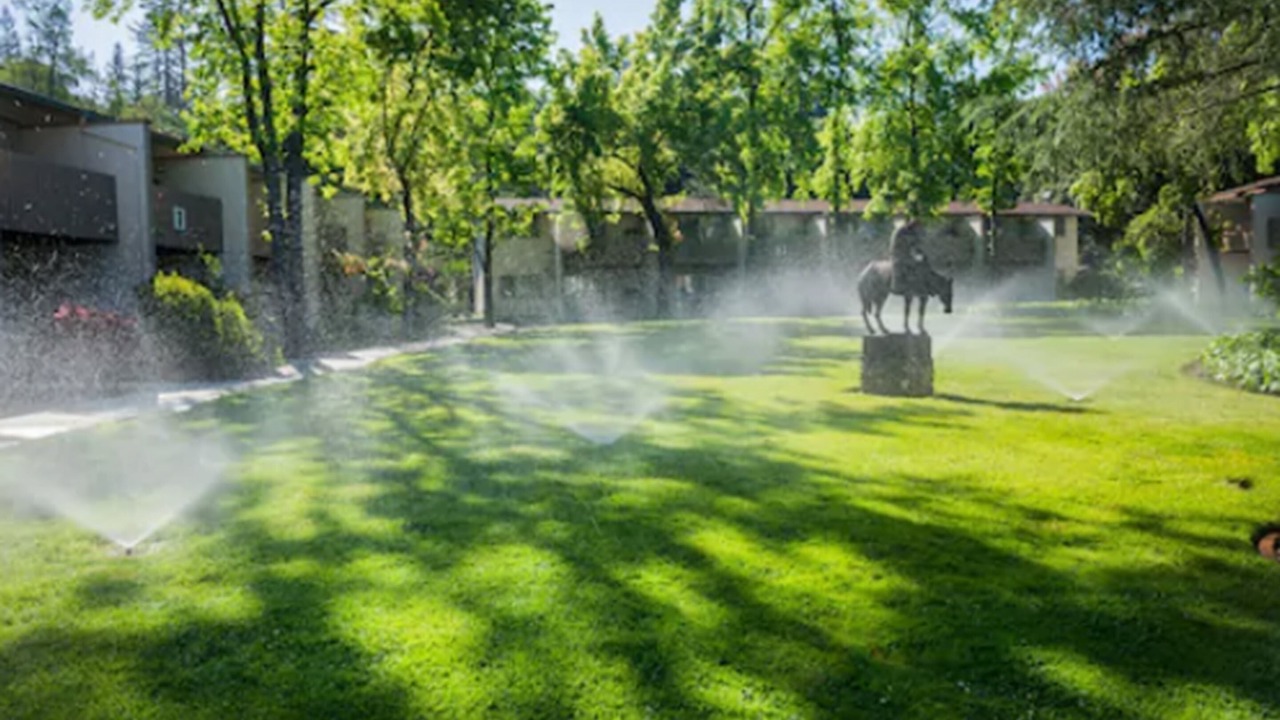 Photo of Outdoor in Los Gatos