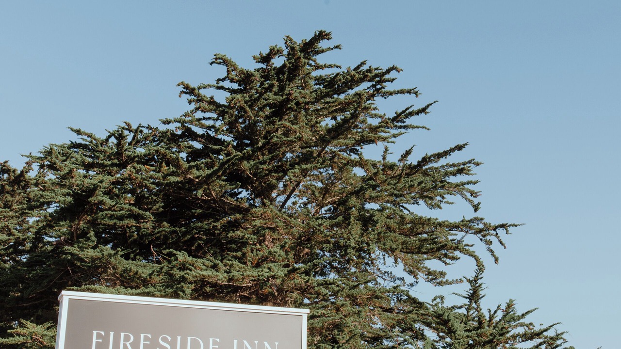 Photo of Outdoor in San Simeon
