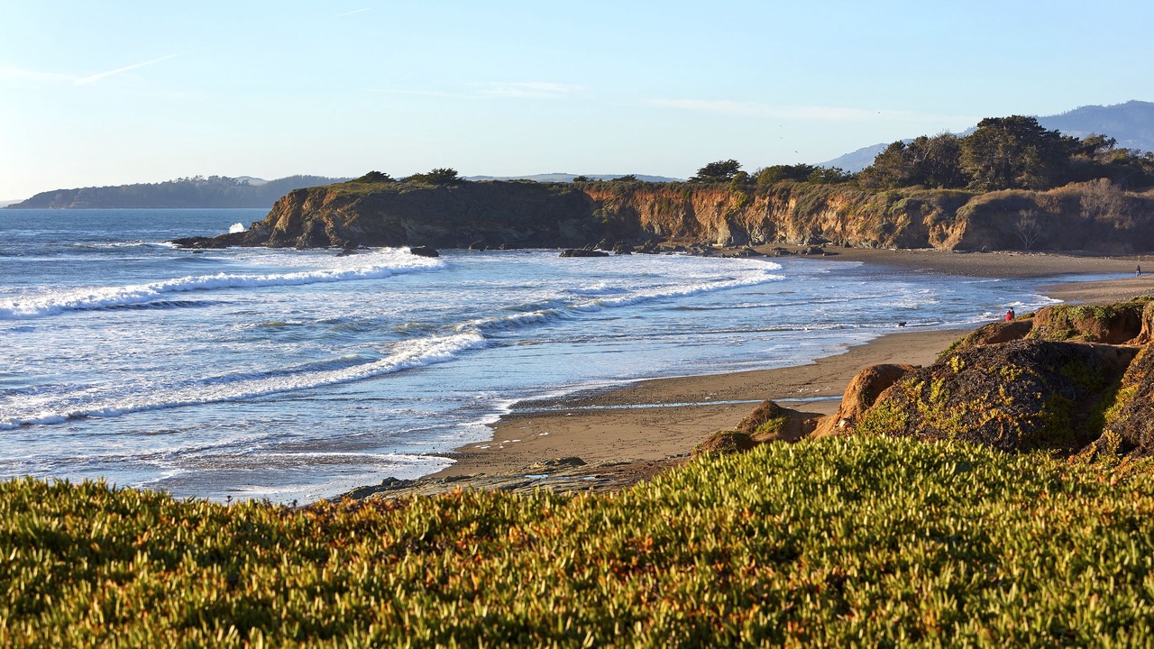 Photo of Others in San Simeon