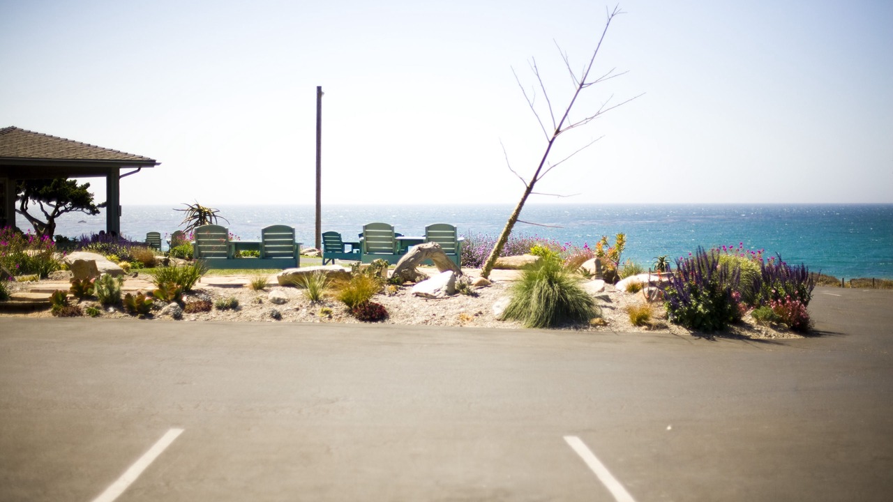 Photo of Others in San Simeon