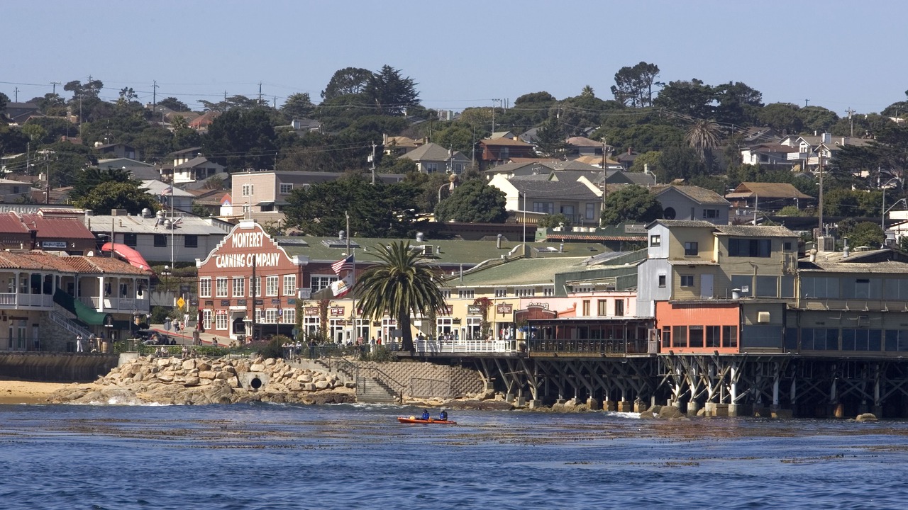 Photo of Others in Lighthouse District