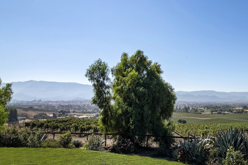 Photo of Outdoor in Santa Ynez