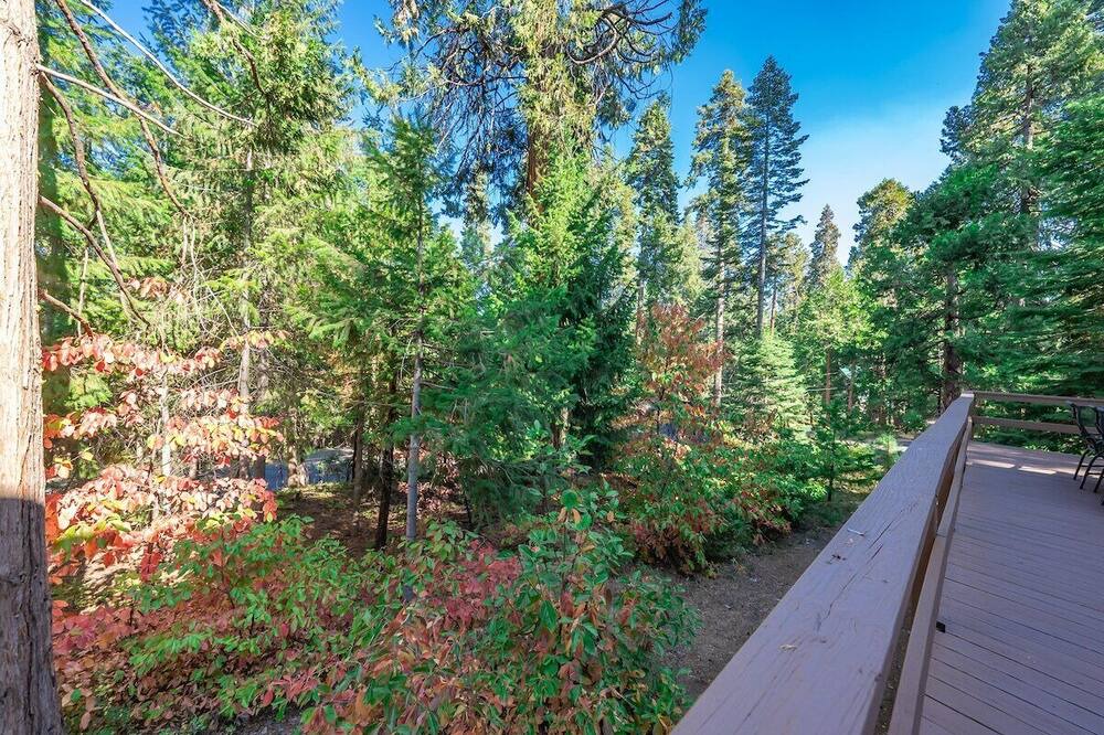 Photo of Outdoor in Sierra Cedars