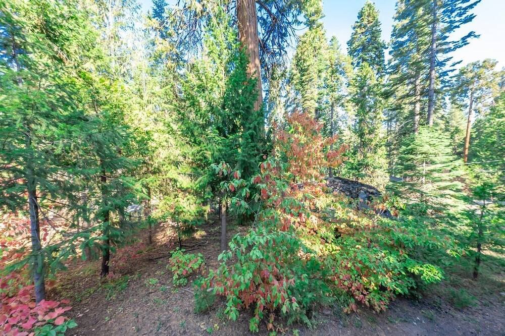 Photo of Outdoor in Sierra Cedars